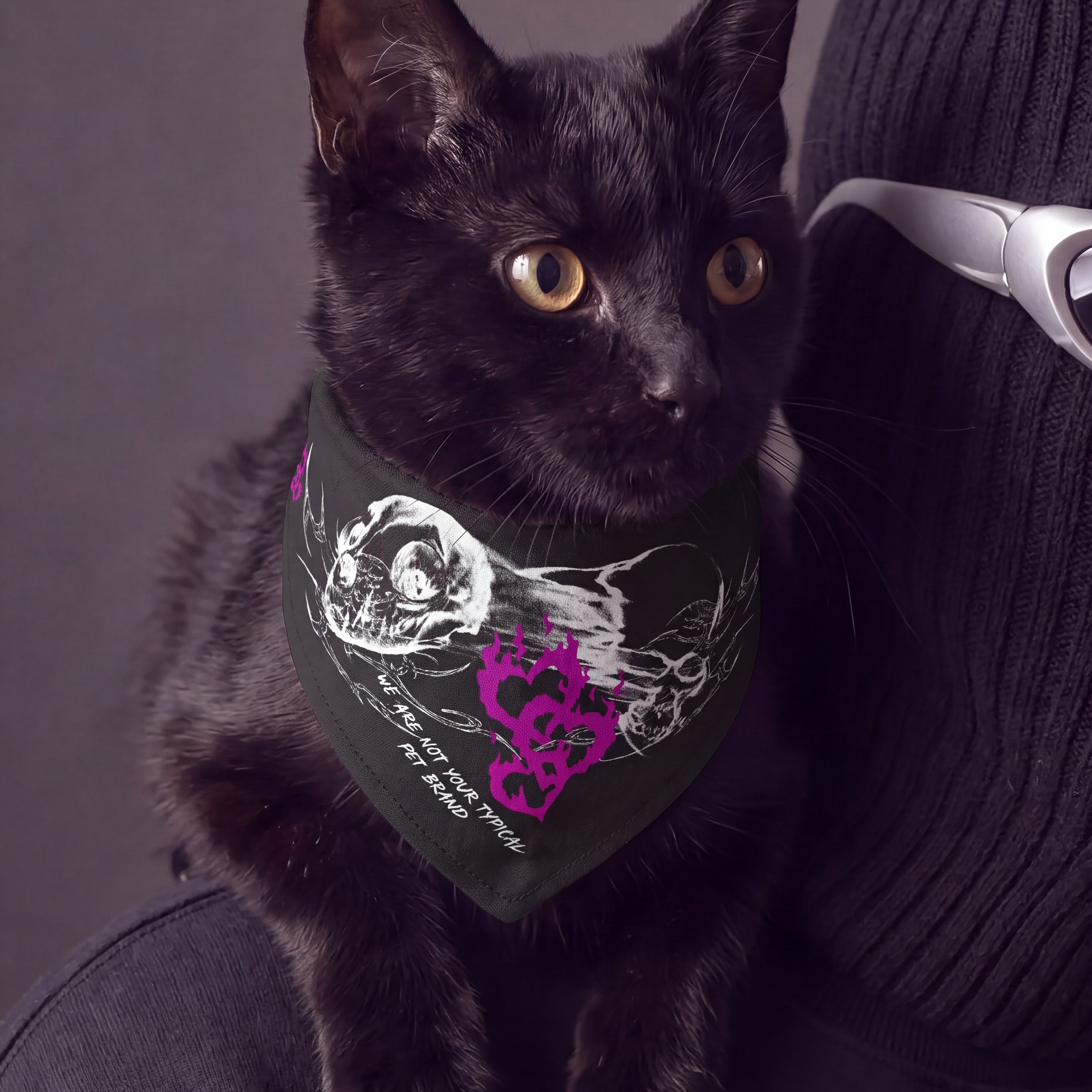 Feline Instincts